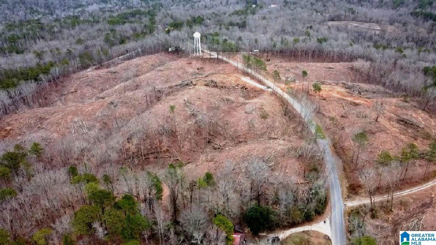 127 County Road, Unit 32 99 Sylacauga, AL 35150 - Photo 1 of 7