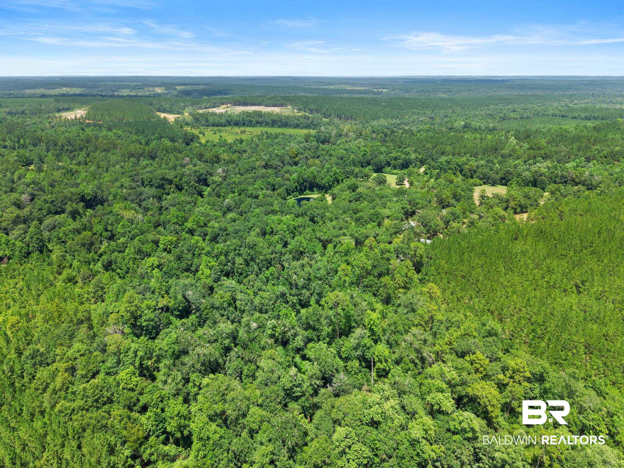 3470 Bellfork Road Atmore, AL 36502 - Photo 72 of 74