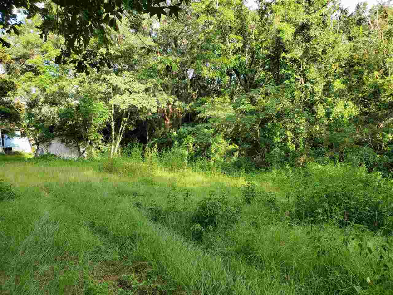 603 Rocky Springs Church Road Madison, FL 32340 - Photo 25 of 33 Gallery Image 25