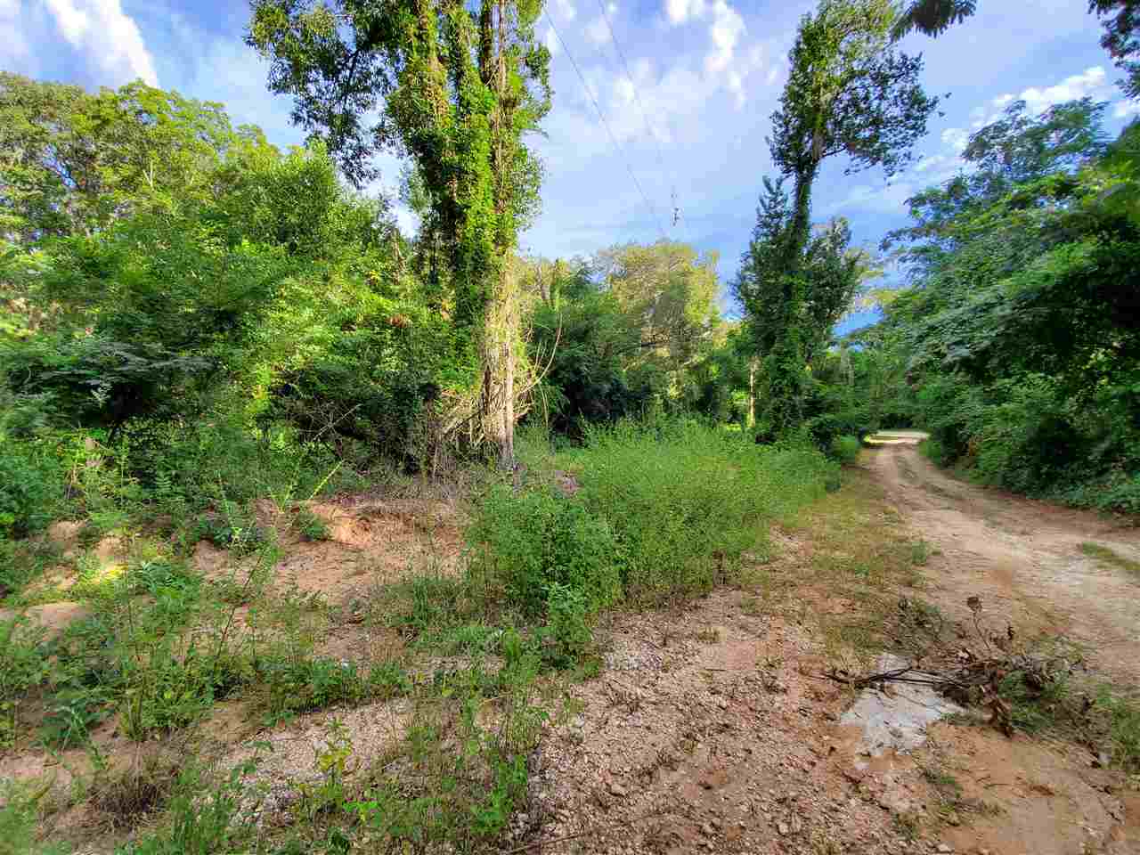 603 Rocky Springs Church Road Madison, FL 32340 - Photo 8 of 33 Gallery Image 8