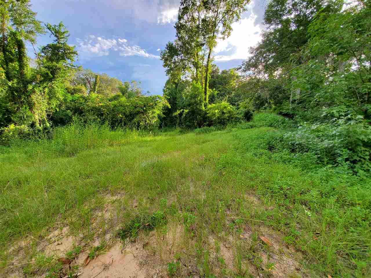 603 Rocky Springs Church Road Madison, FL 32340 - Photo 9 of 33 Gallery Image 9