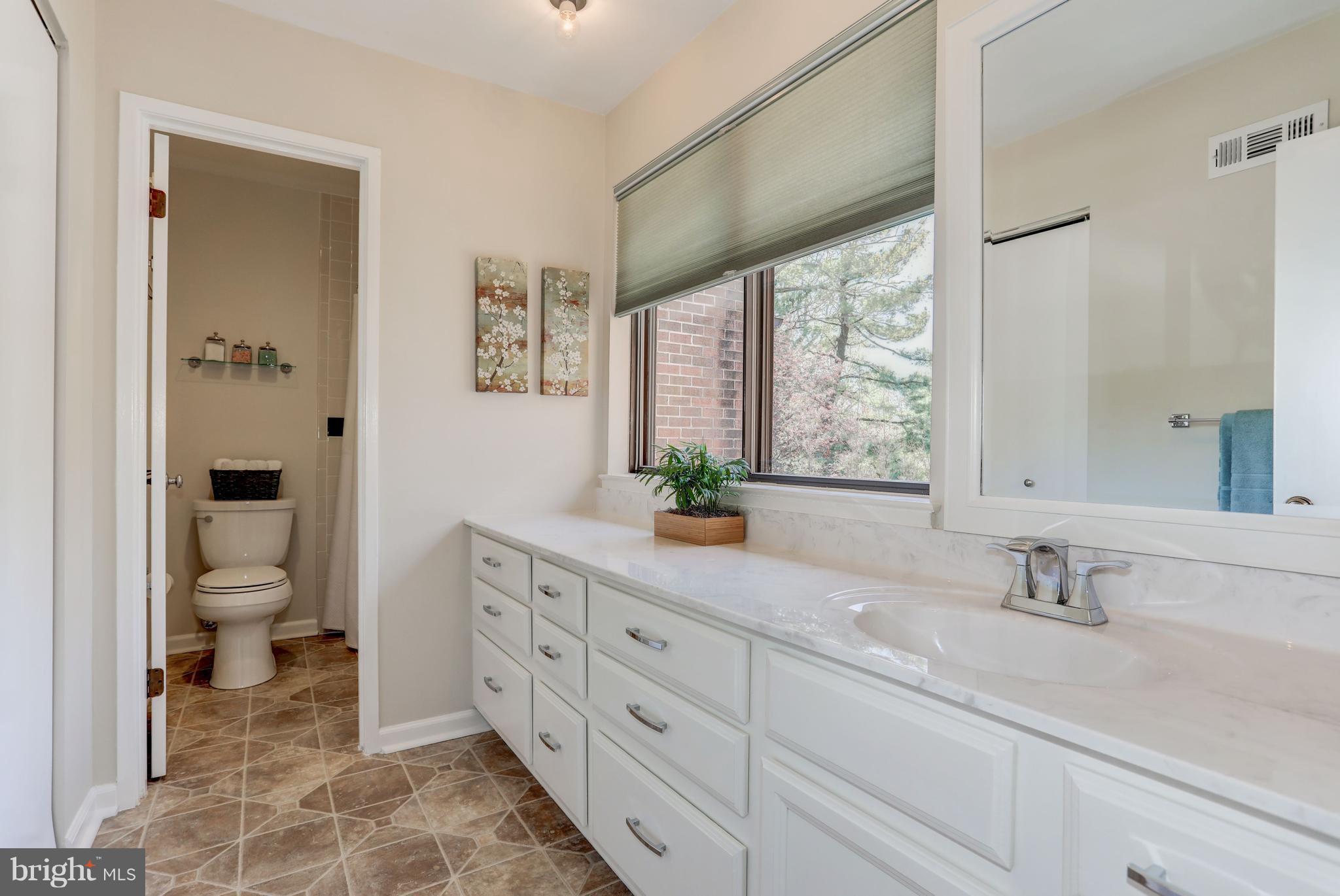 11762 Indian Ridge Road Reston, VA 20191 - Photo 18 of 30 a spacious bathroom with a granite countertop sink a toilet and a mirror