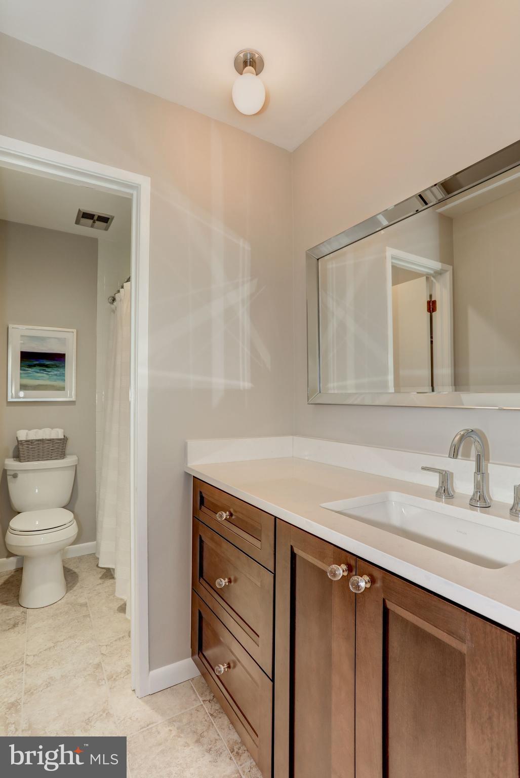 11762 Indian Ridge Road Reston, VA 20191 - Photo 22 of 30 a bathroom with a sink a toilet and a mirror
