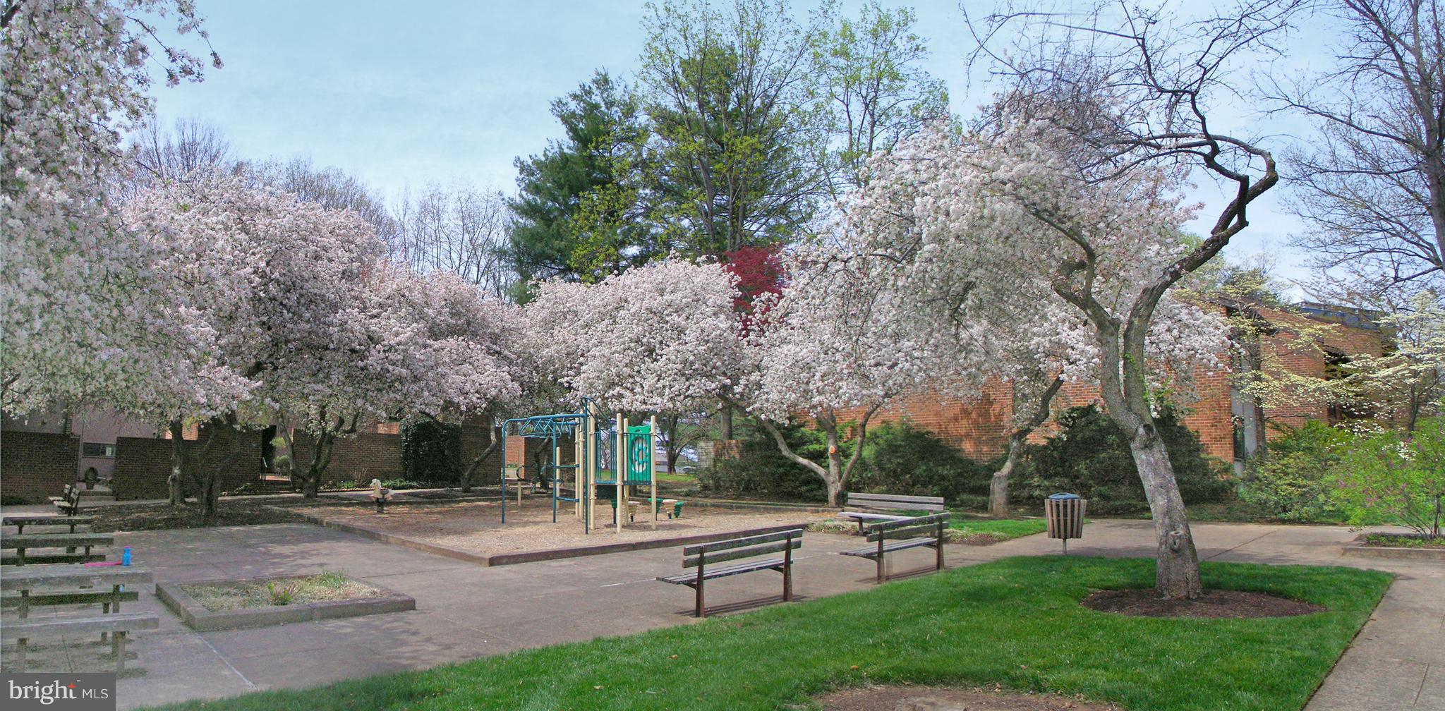 11762 Indian Ridge Road Reston, VA 20191 - Photo 29 of 30 a view of a park with bench and trees