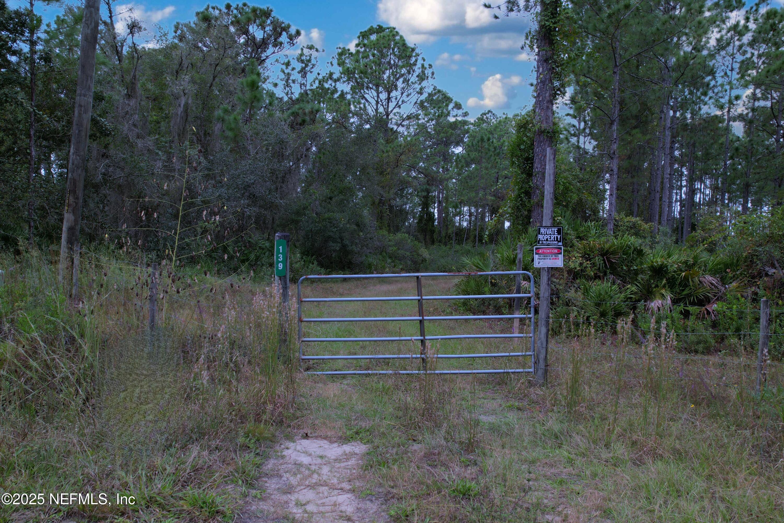 139 Lakeway Drive Georgetown, FL 32139 - Photo 14 of 59 a view of backyard