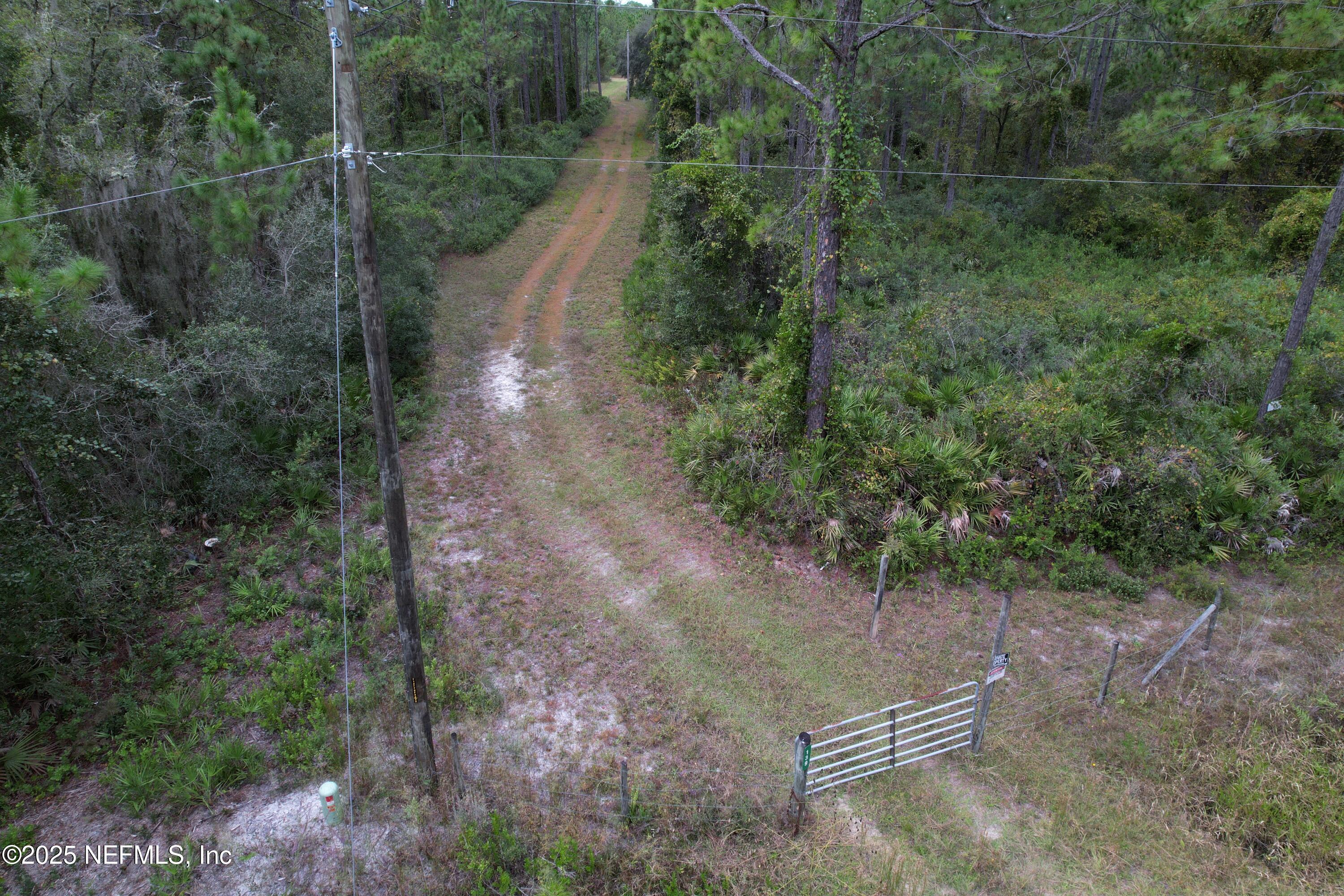 139 Lakeway Drive Georgetown, FL 32139 - Photo 15 of 59 a view of a forest with a yard