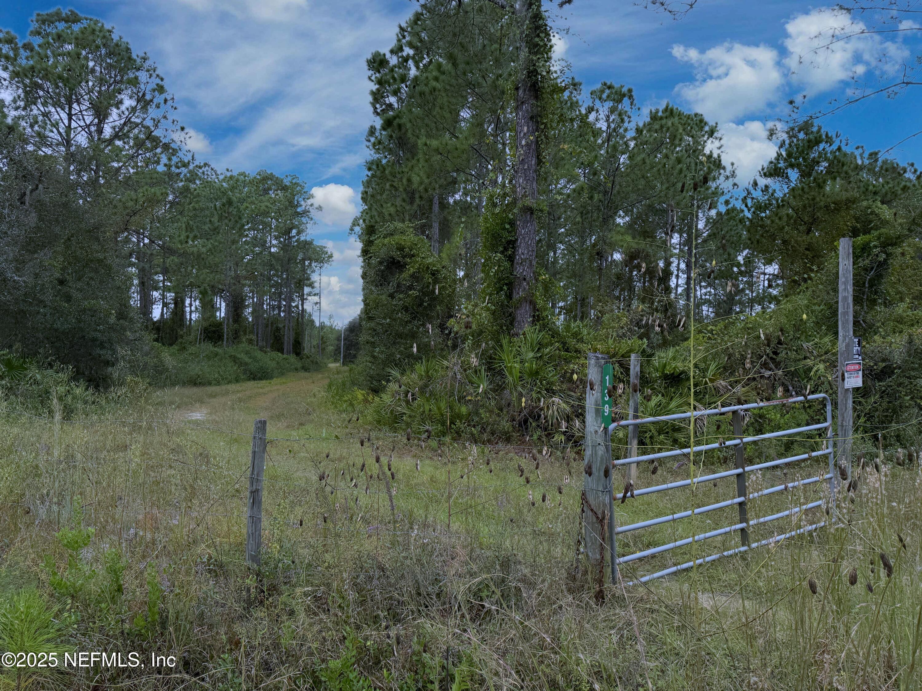 139 Lakeway Drive Georgetown, FL 32139 - Photo 16 of 59 a view of outdoor space and yard