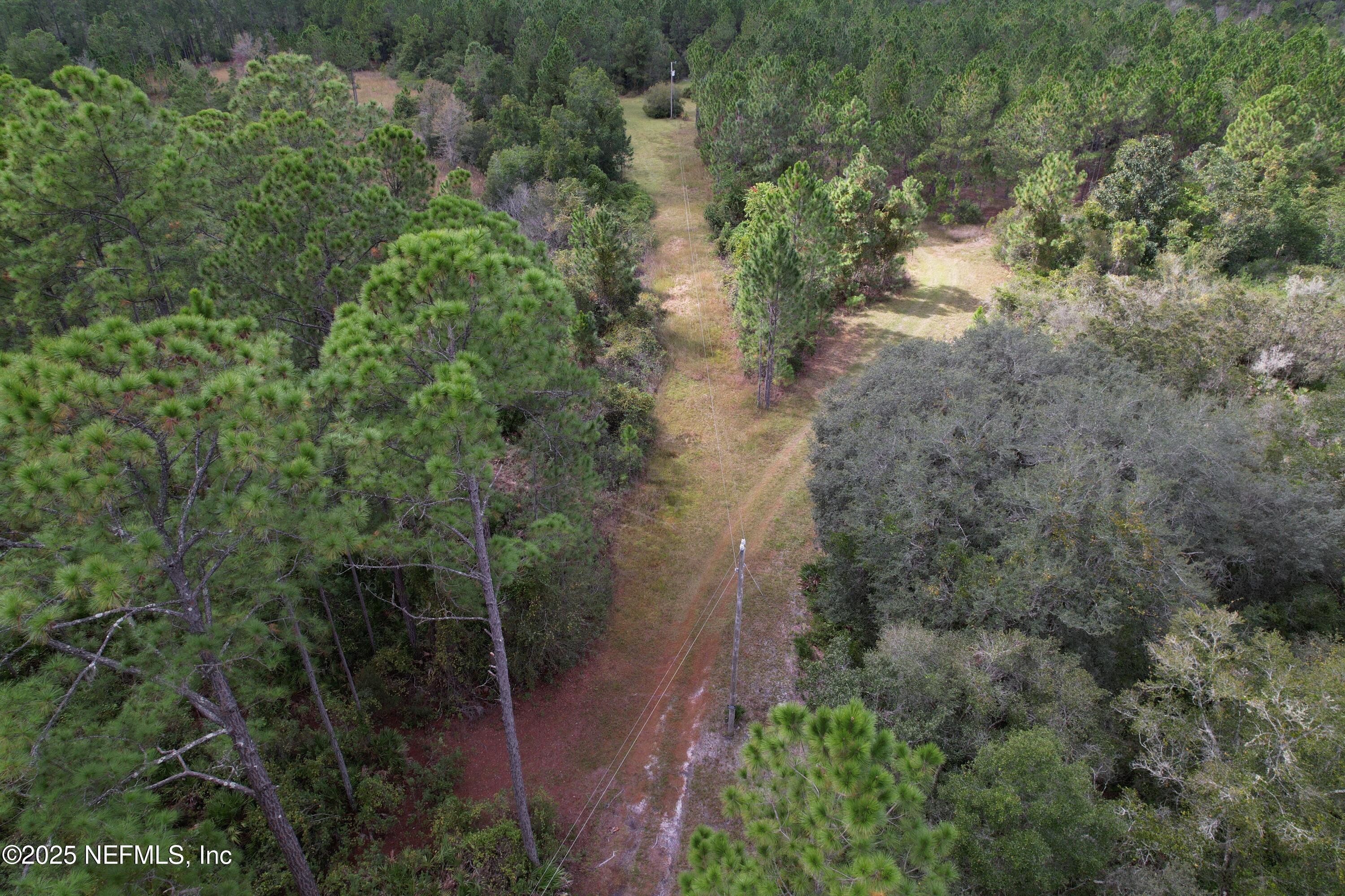 139 Lakeway Drive Georgetown, FL 32139 - Photo 17 of 59 a view of a forest with a building
