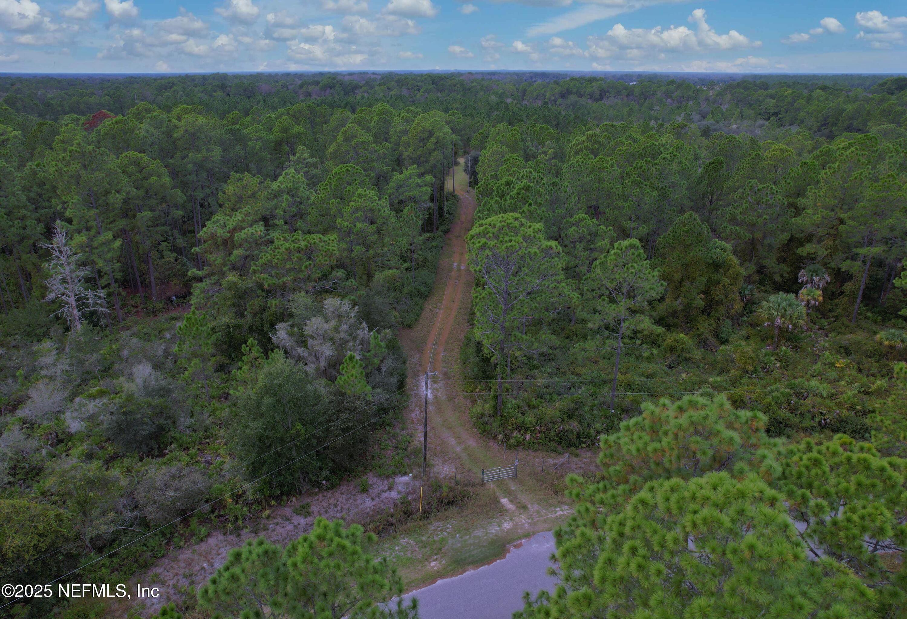 139 Lakeway Drive Georgetown, FL 32139 - Photo 20 of 59 a view of a field with a tree