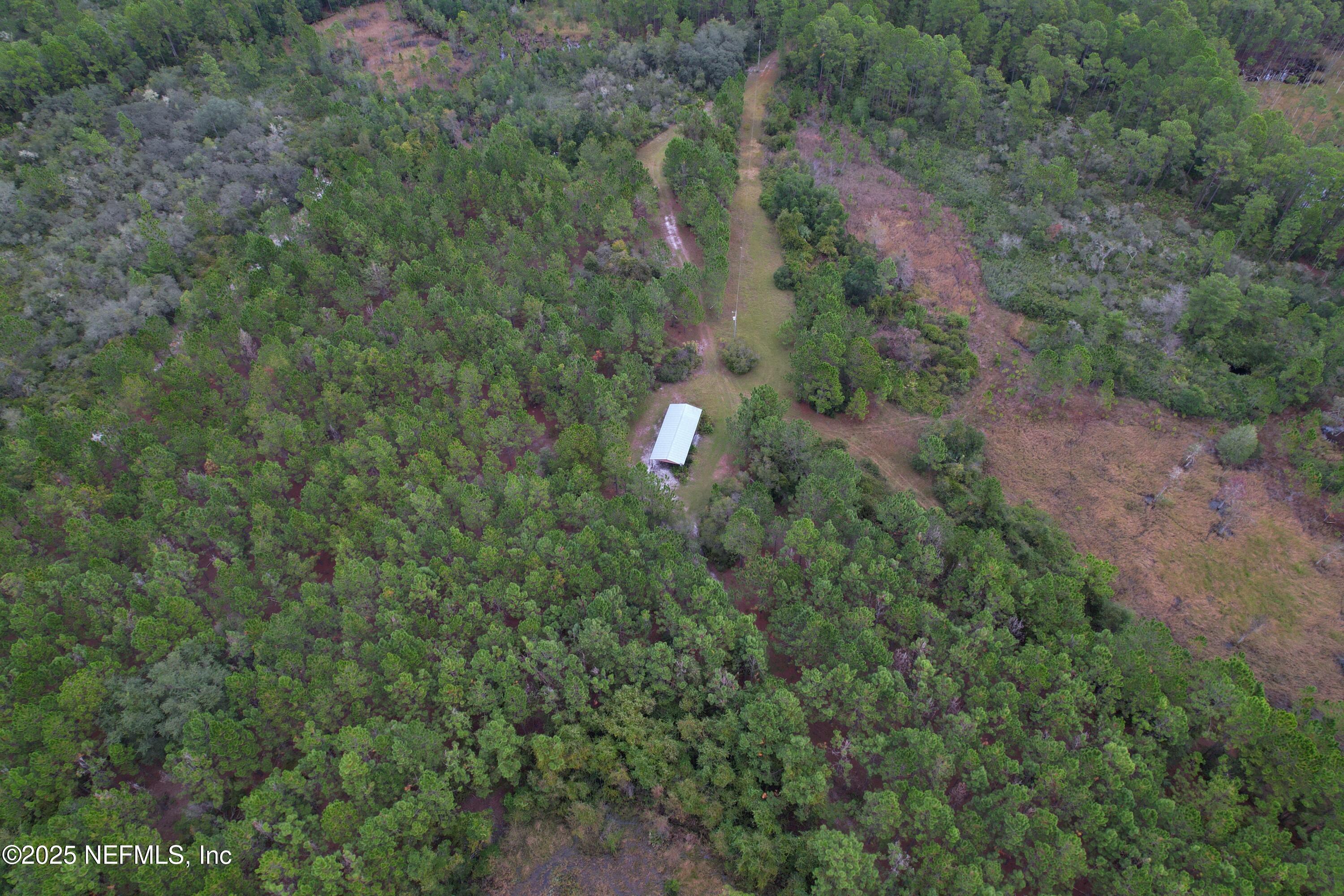 139 Lakeway Drive Georgetown, FL 32139 - Photo 21 of 59