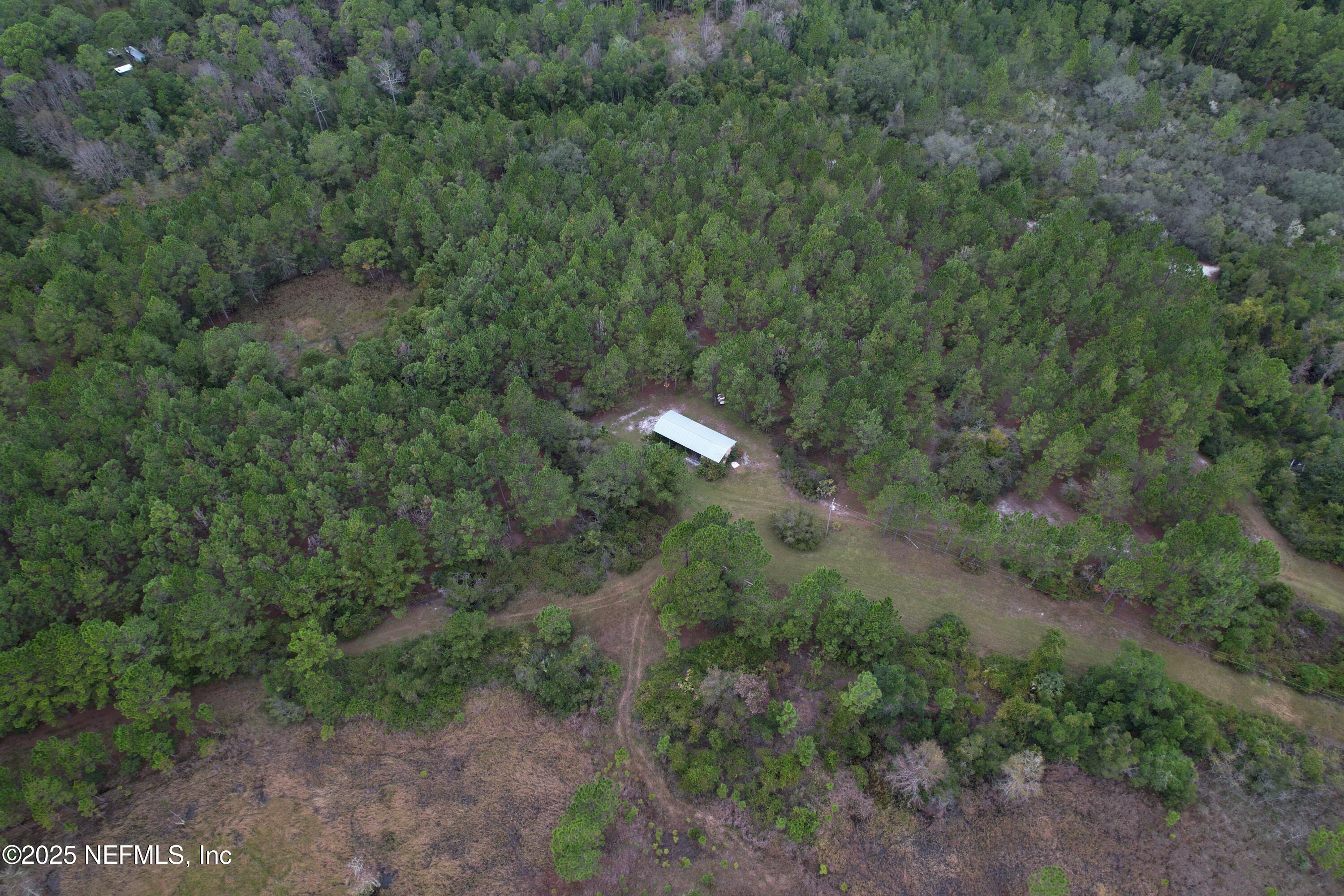 139 Lakeway Drive Georgetown, FL 32139 - Photo 22 of 59 a view of a forest with a street