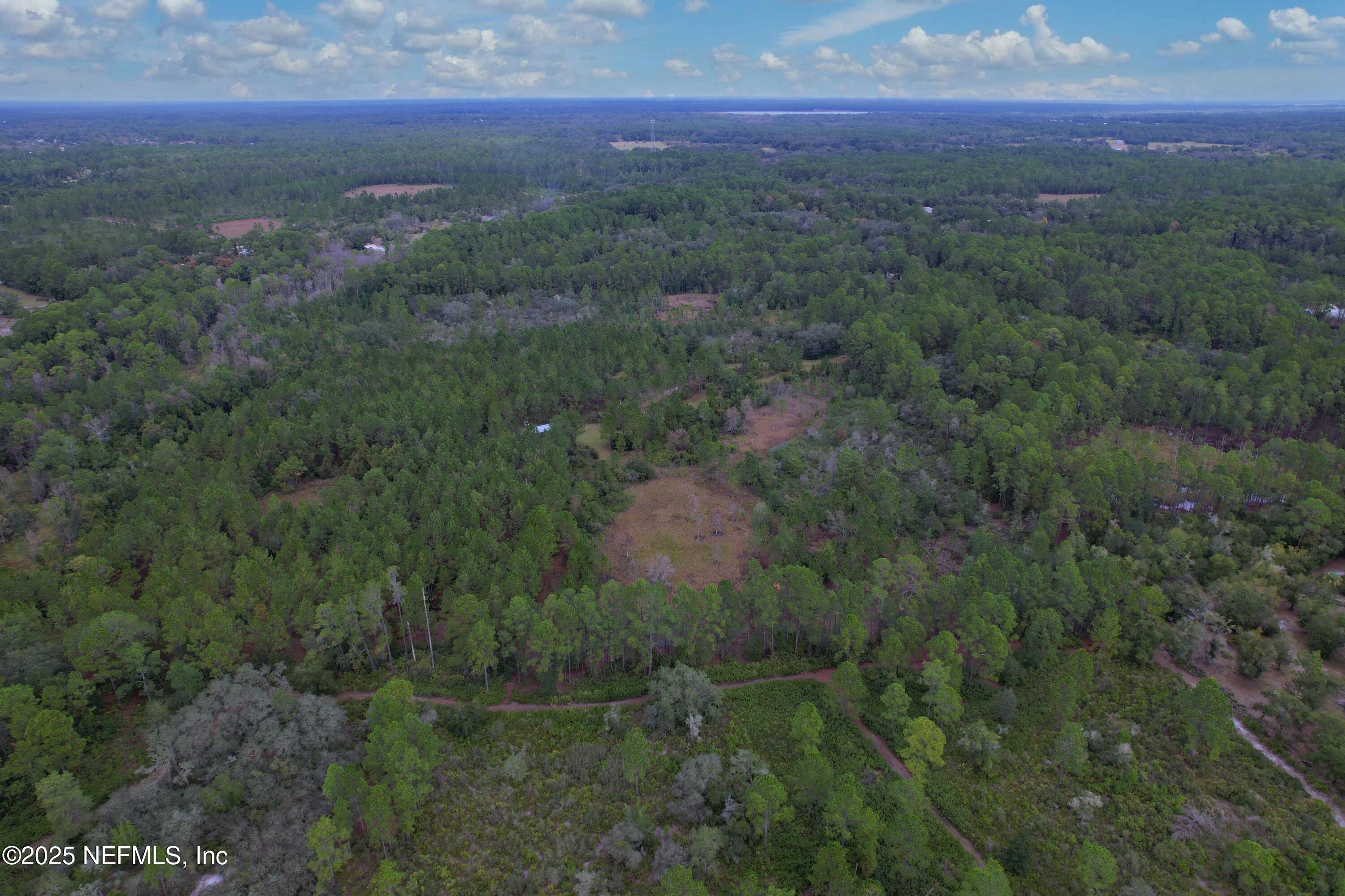 139 Lakeway Drive Georgetown, FL 32139 - Photo 23 of 59 North View