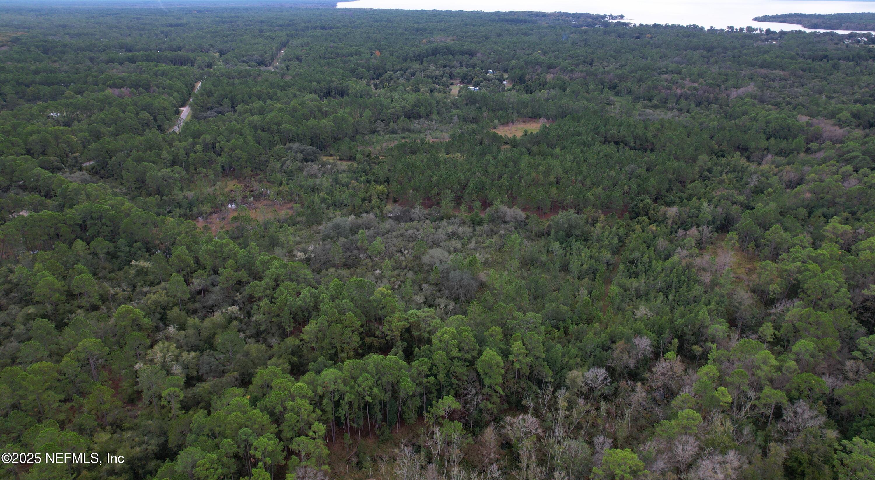 139 Lakeway Drive Georgetown, FL 32139 - Photo 24 of 59 Northwest View (1)