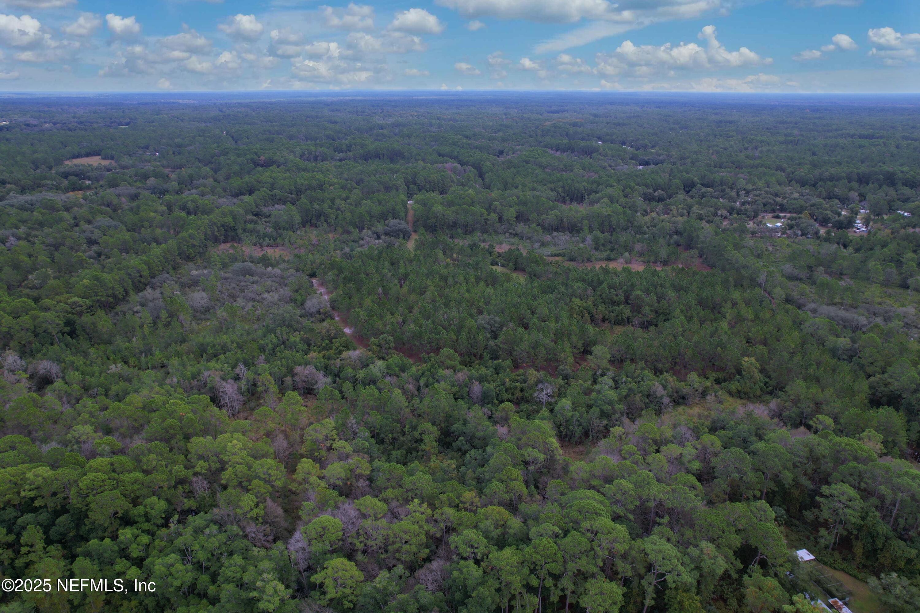 139 Lakeway Drive Georgetown, FL 32139 - Photo 27 of 59 East View (1)
