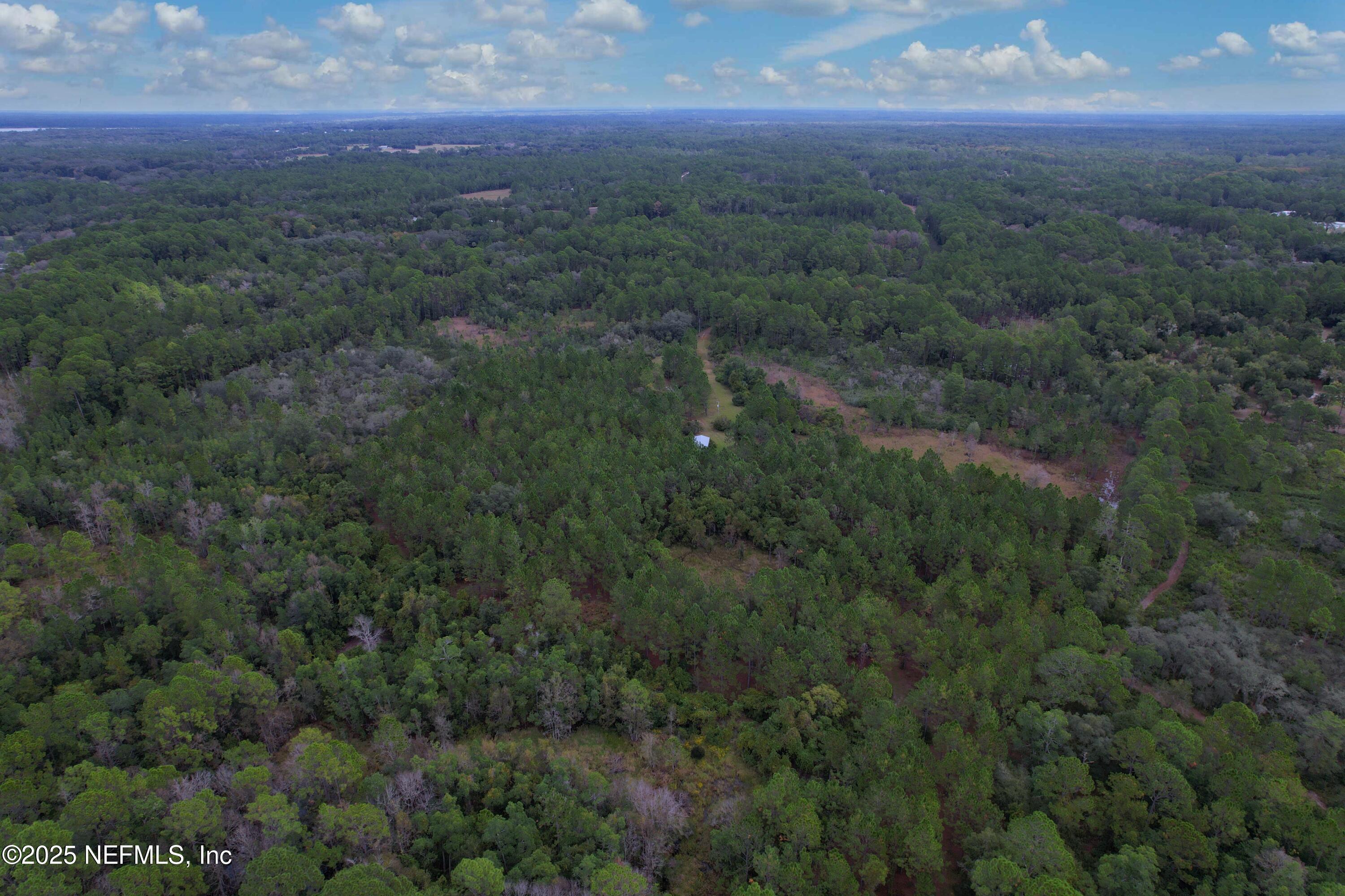 139 Lakeway Drive Georgetown, FL 32139 - Photo 29 of 59 East View (2)