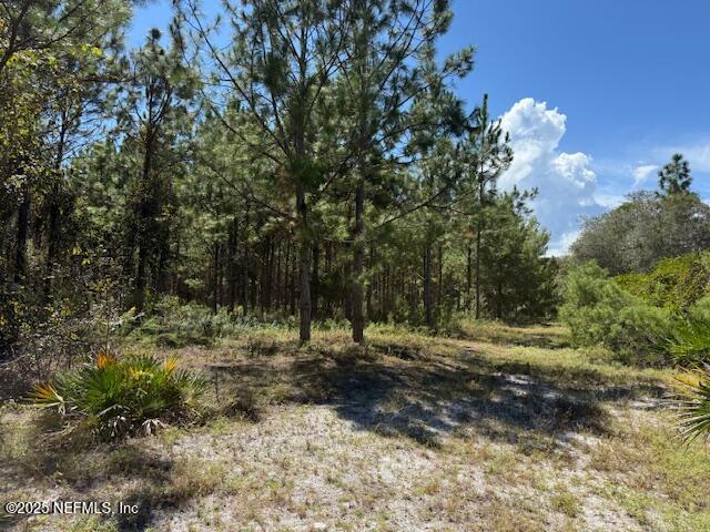 139 Lakeway Drive Georgetown, FL 32139 - Photo 30 of 59 IMG_2230