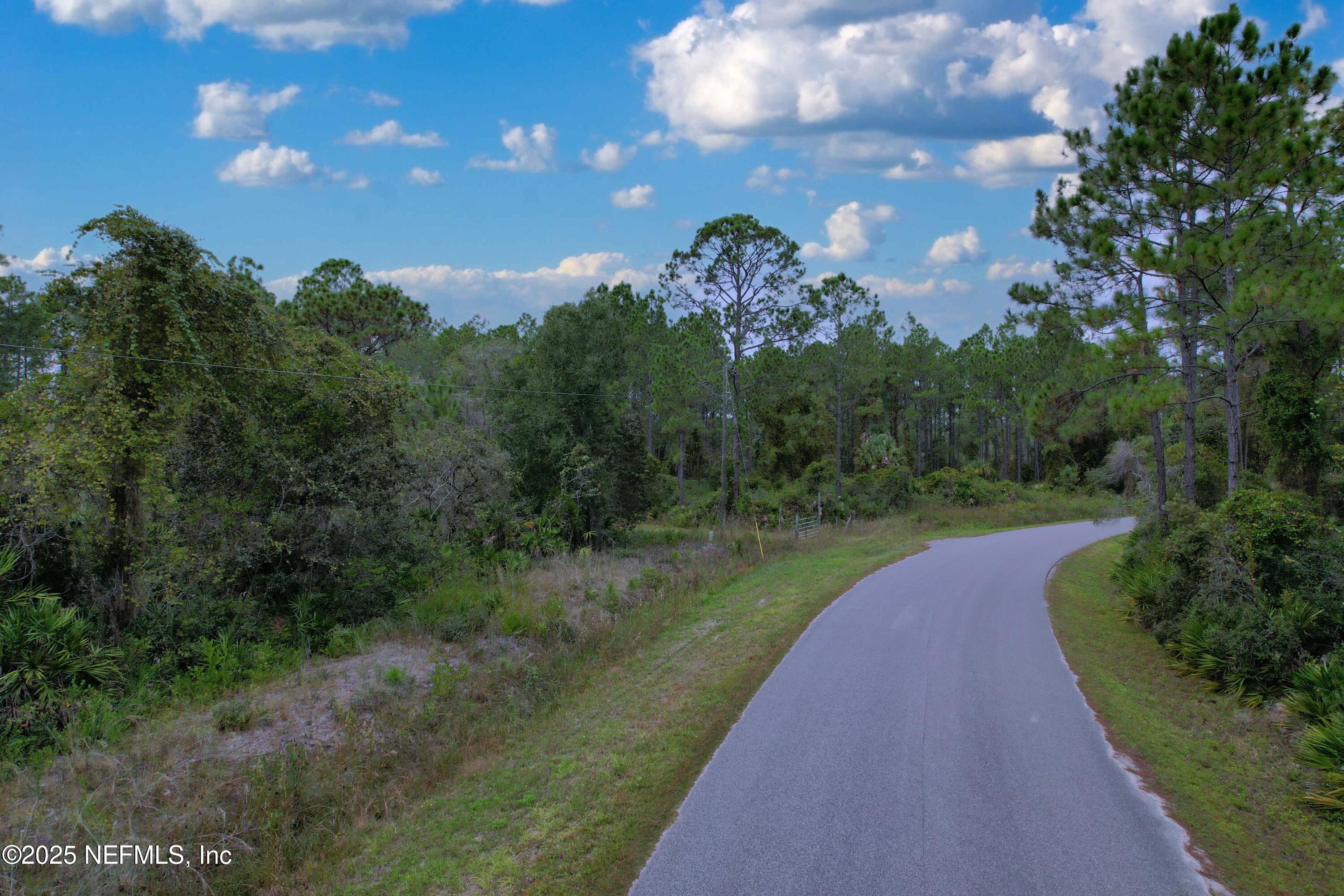 139 Lakeway Drive Georgetown, FL 32139 - Photo 32 of 59 a view of a street with a yard in back