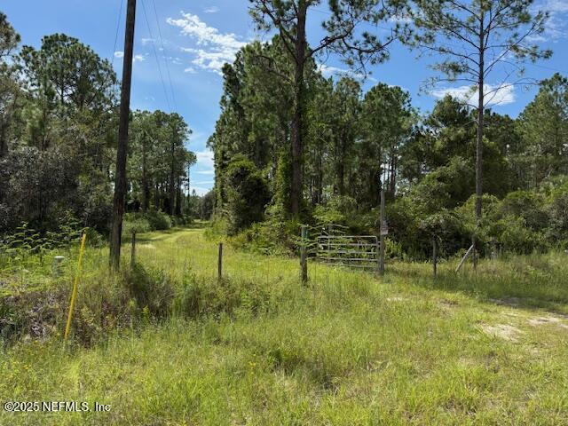 139 Lakeway Drive Georgetown, FL 32139 - Photo 35 of 59 IMG_2089