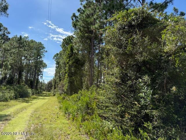 139 Lakeway Drive Georgetown, FL 32139 - Photo 36 of 59 IMG_2090