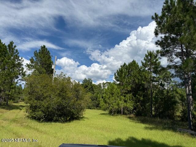 139 Lakeway Drive Georgetown, FL 32139 - Photo 39 of 59 IMG_2094