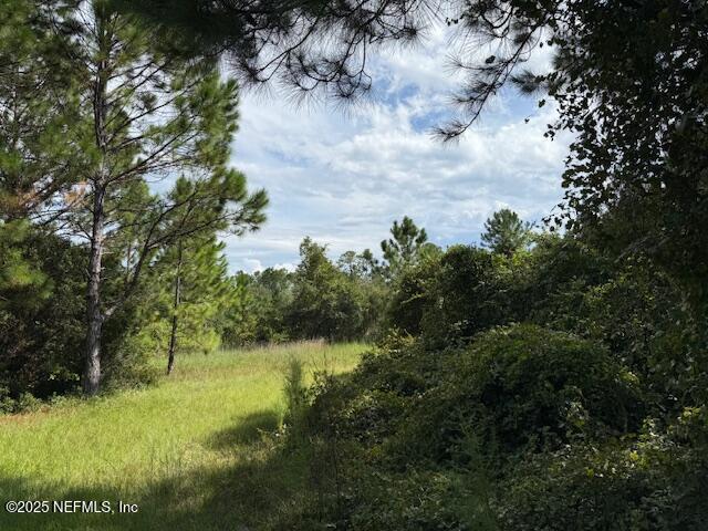 139 Lakeway Drive Georgetown, FL 32139 - Photo 40 of 59 a view of lake with top of house