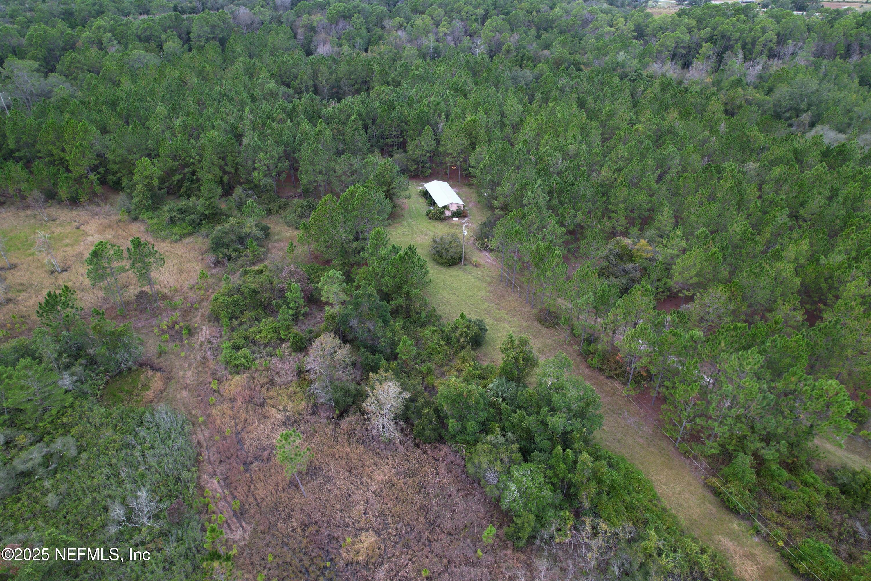139 Lakeway Drive Georgetown, FL 32139 - Photo 4 of 59 a view of a forest with a tree