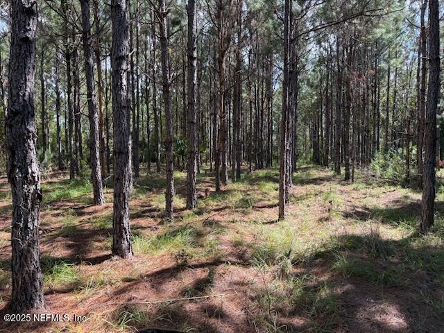 139 Lakeway Drive Georgetown, FL 32139 - Photo 41 of 59 a backyard of a house with lots of green space