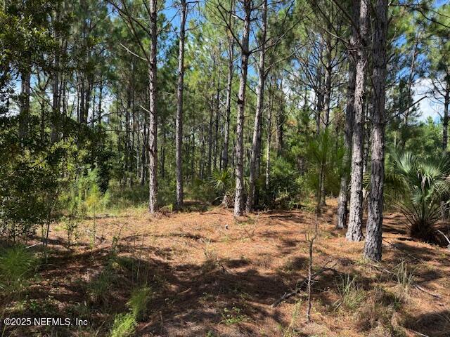 139 Lakeway Drive Georgetown, FL 32139 - Photo 42 of 59 a fire hydrant in the middle of a field