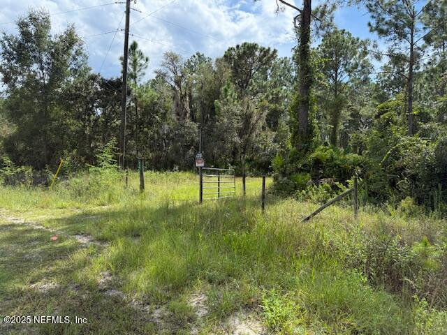 139 Lakeway Drive Georgetown, FL 32139 - Photo 43 of 59 Frontage