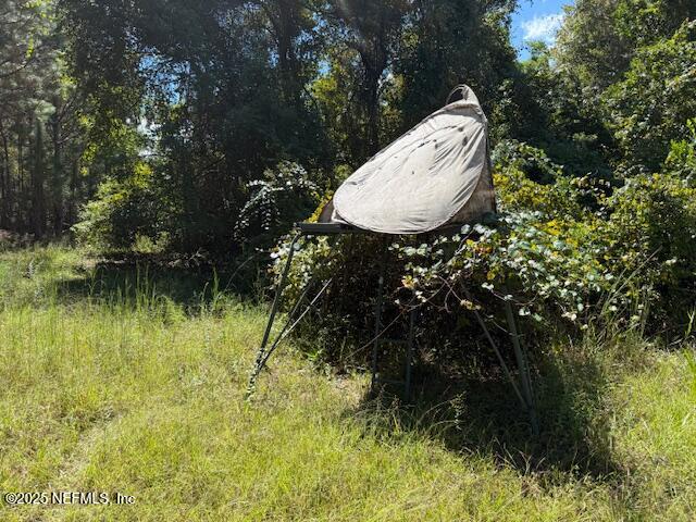 139 Lakeway Drive Georgetown, FL 32139 - Photo 45 of 59 a view of a backyard of a house