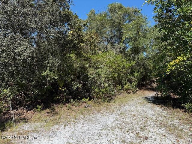 139 Lakeway Drive Georgetown, FL 32139 - Photo 46 of 59 a view of a yard covered in snow