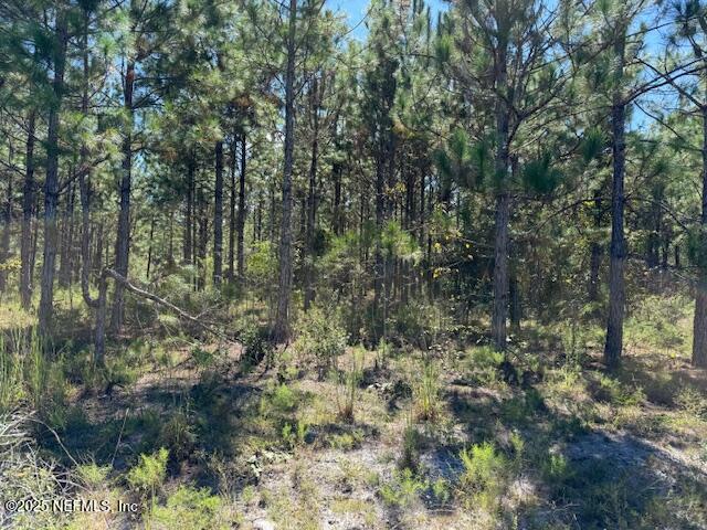 139 Lakeway Drive Georgetown, FL 32139 - Photo 47 of 59 IMG_2228