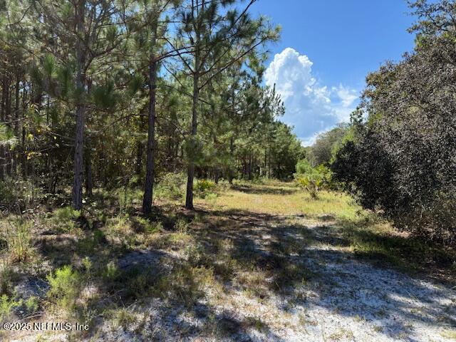 139 Lakeway Drive Georgetown, FL 32139 - Photo 48 of 59 IMG_2227