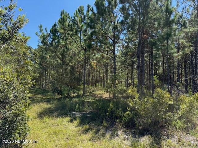 139 Lakeway Drive Georgetown, FL 32139 - Photo 49 of 59 IMG_2226