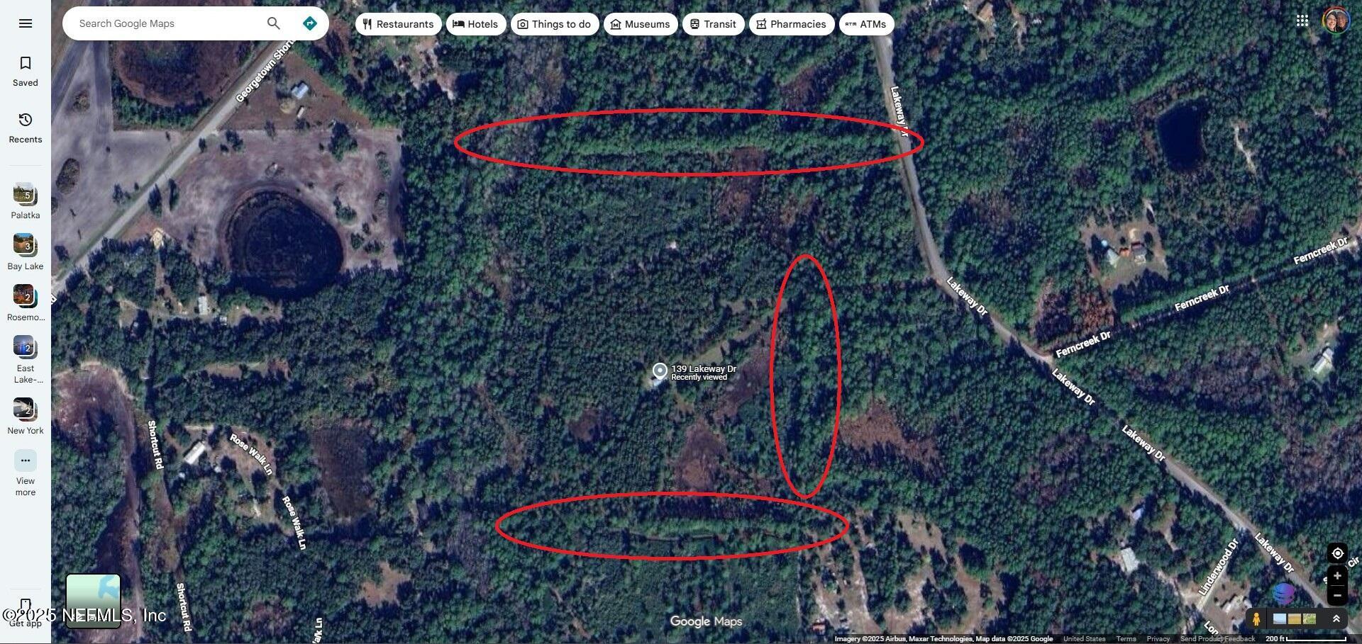 139 Lakeway Drive Georgetown, FL 32139 - Photo 50 of 59