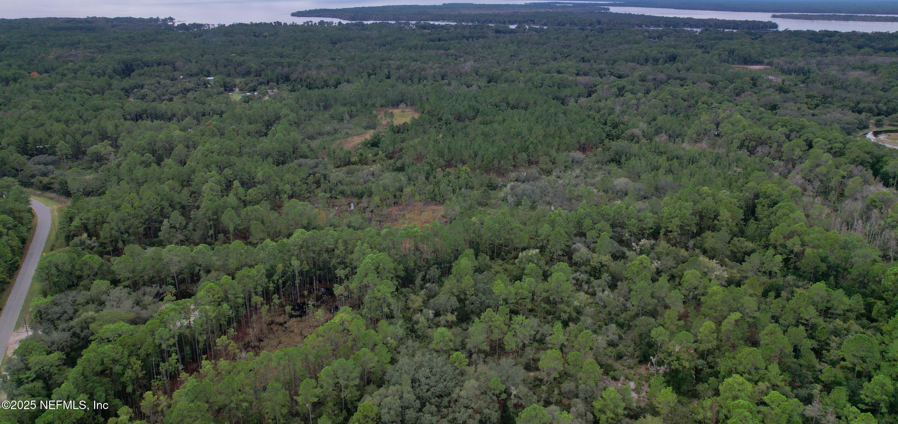 139 Lakeway Drive Georgetown, FL 32139 - Photo 51 of 59 a view of a lush green forest with trees and houses