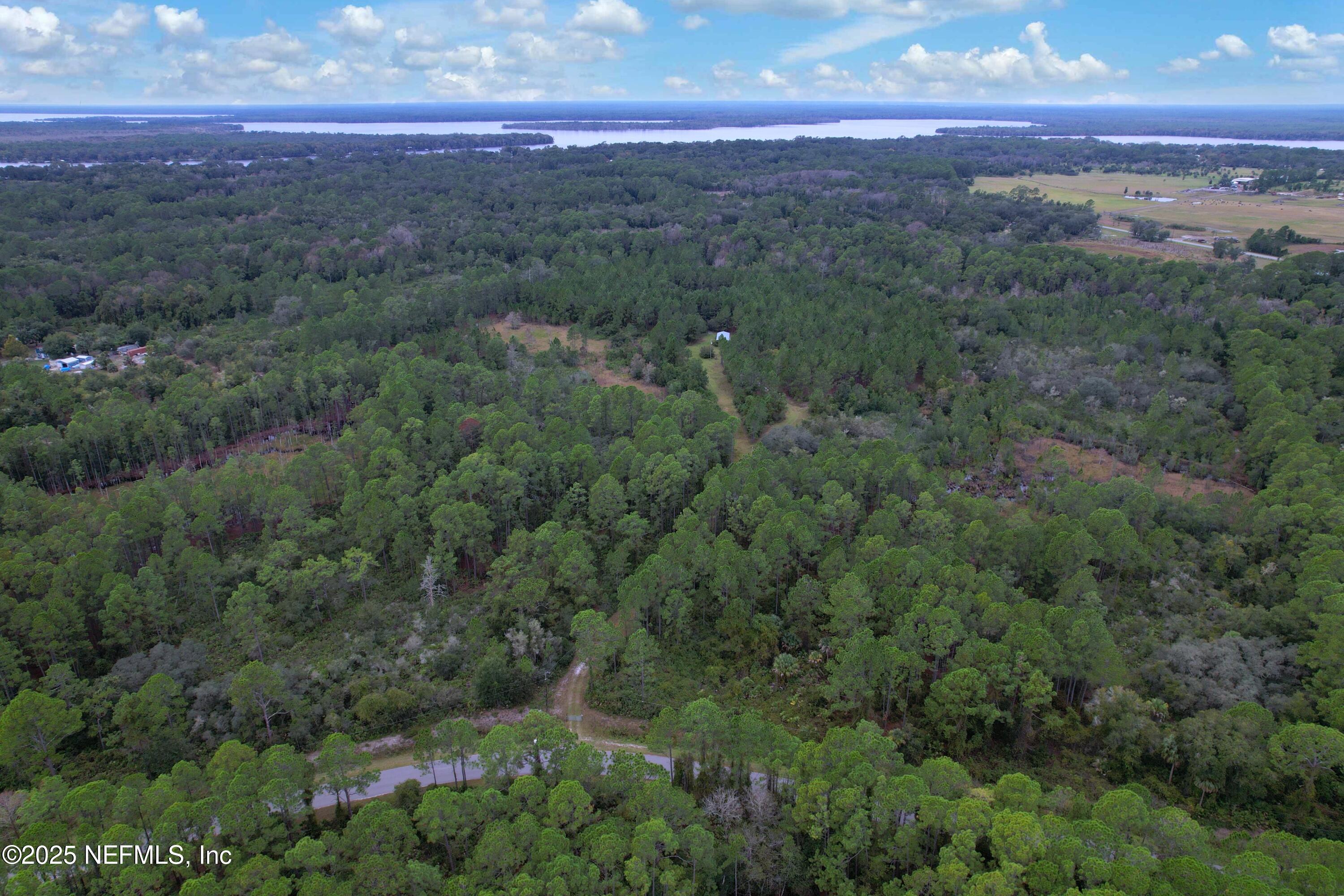 139 Lakeway Drive Georgetown, FL 32139 - Photo 53 of 59 a view of a city with lush green forest