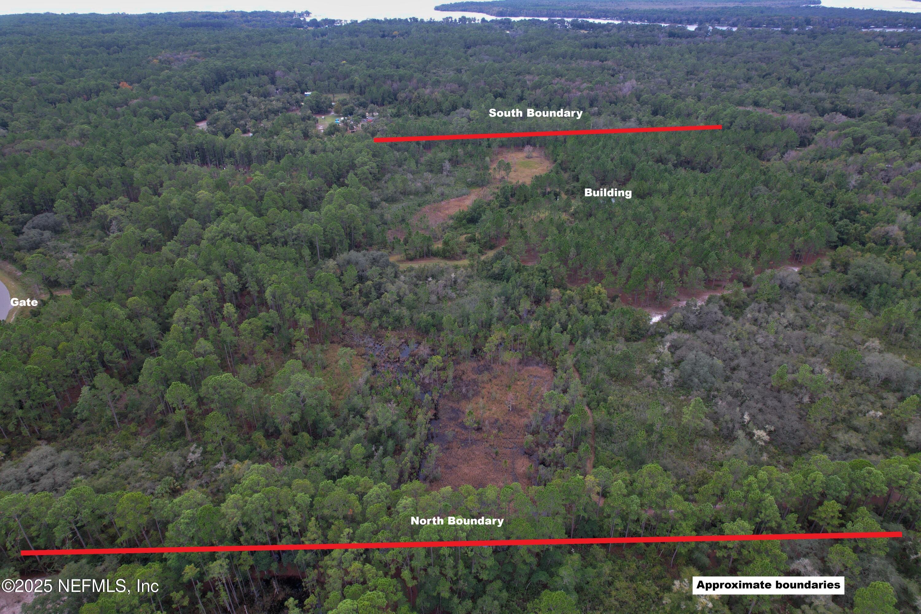 139 Lakeway Drive Georgetown, FL 32139 - Photo 55 of 59 West View (1a)