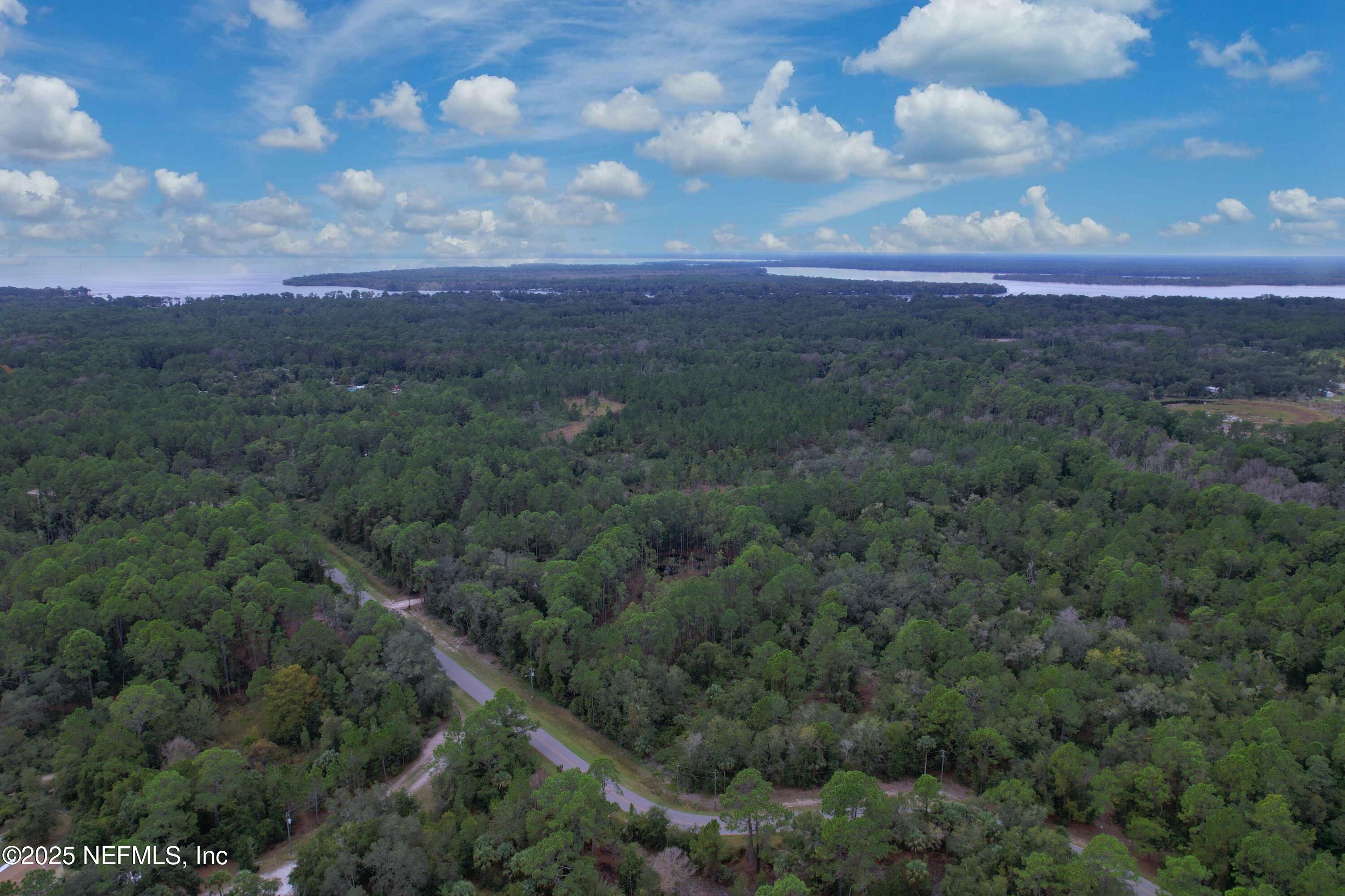 139 Lakeway Drive Georgetown, FL 32139 - Photo 56 of 59 a view of a big yard with lots of green space