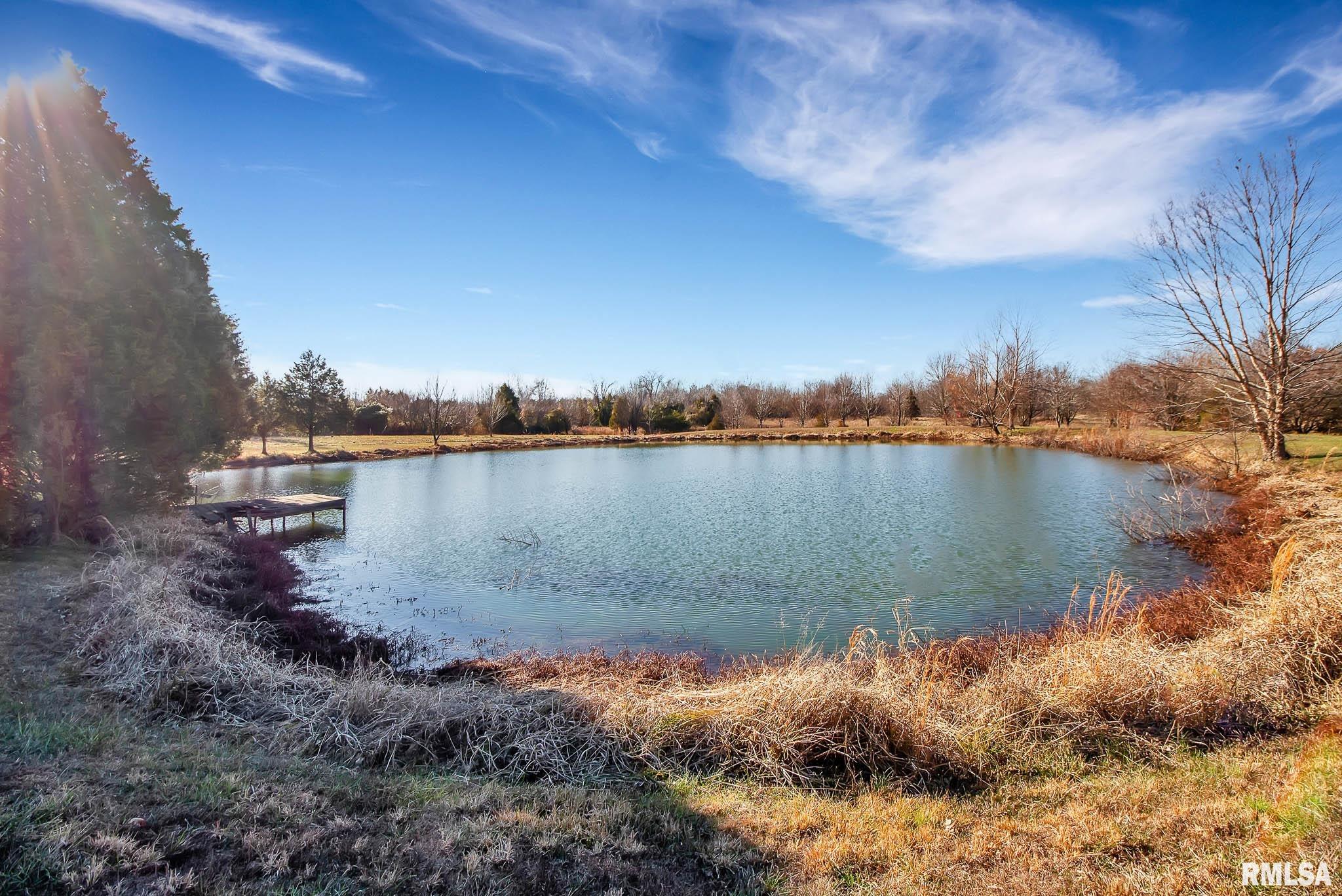 6393 Wards Mill Road Marion, IL 62959 - Photo 43 of 45 Gallery Image 43