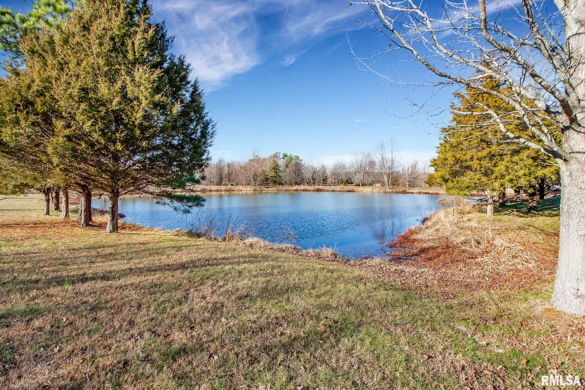 6393 Wards Mill Road Marion, IL 62959 - Photo 44 of 45 Gallery Image 44