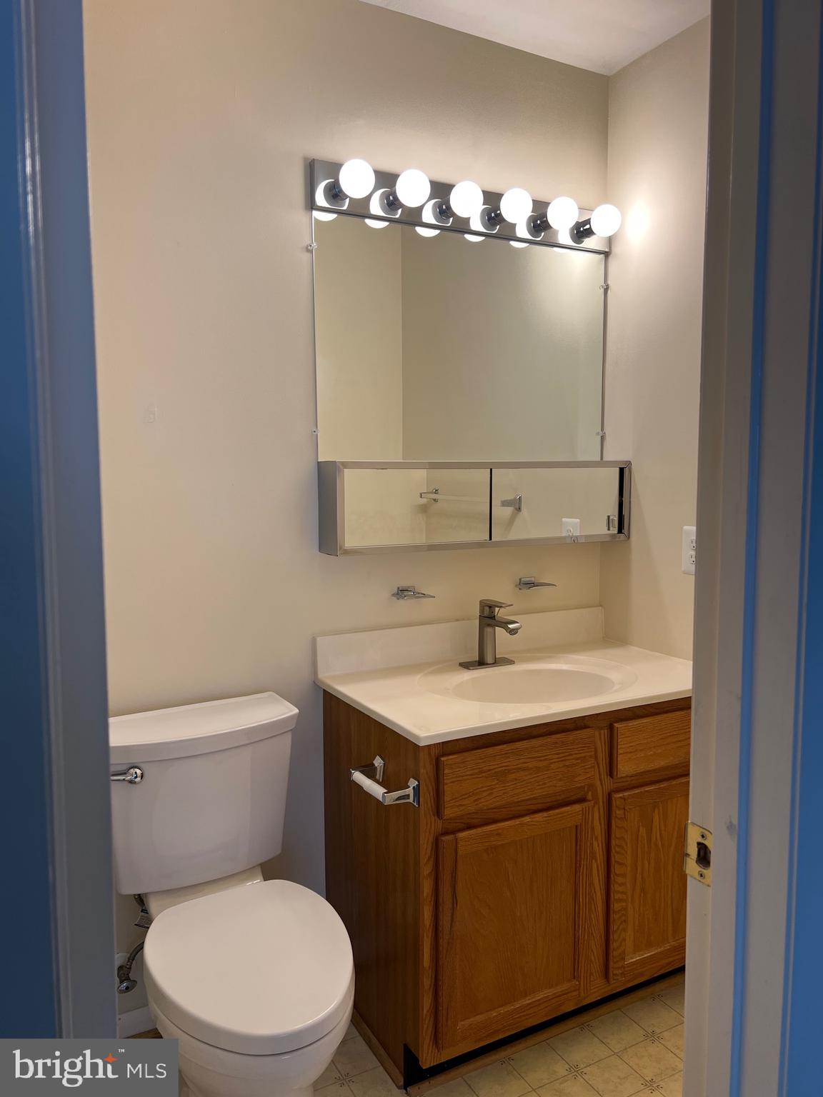 5814 Box Elder Court Frederick, MD 21703 - Photo 9 of 14 a bathroom with a toilet a sink and mirror
