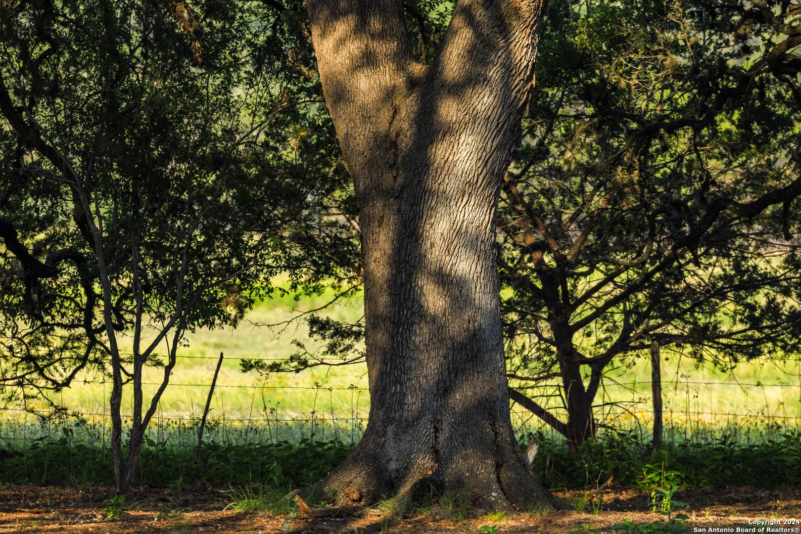 75 Rm 366 Leakey, TX 78873 - Photo 15 of 49