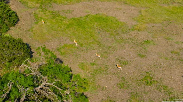a view of a yard in front of the house