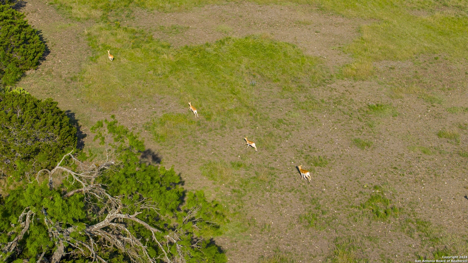 75 Rm 366 Leakey, TX 78873 - Photo 17 of 49