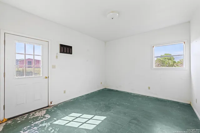 a close up of a plant