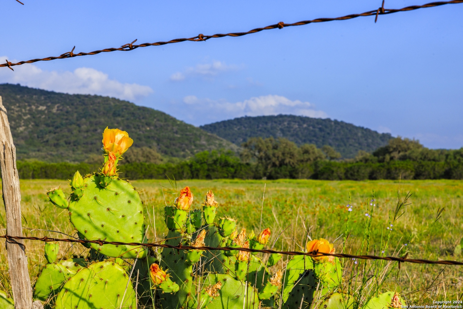 75 Rm 366 Leakey, TX 78873 - Photo 4 of 49 a view of a lake
