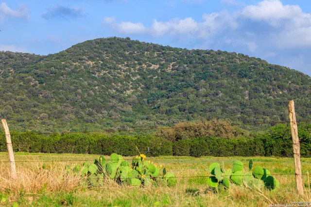 a view of a town with mountains in the background