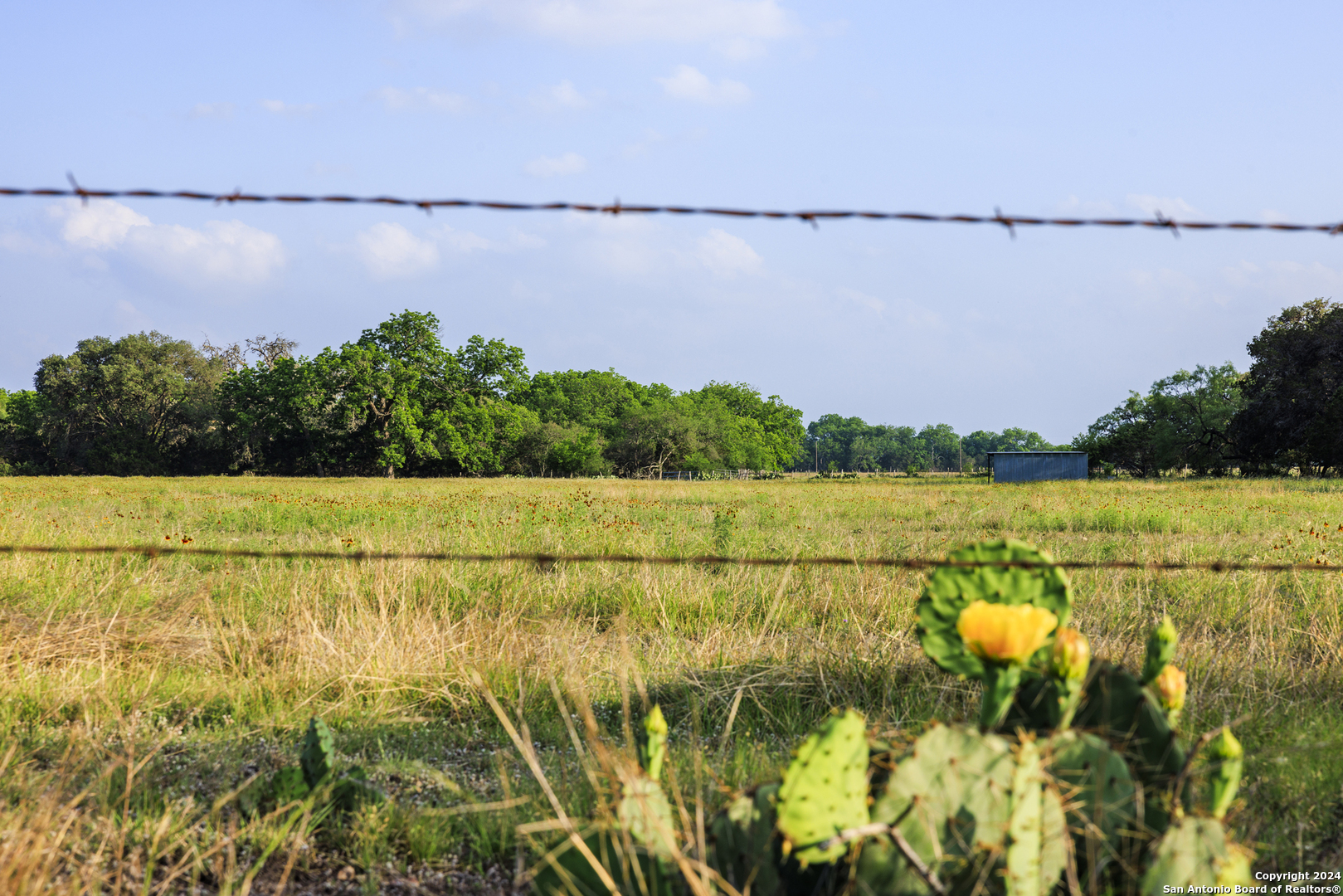 75 Rm 366 Leakey, TX 78873 - Photo 42 of 49 a view of a lake and a yard