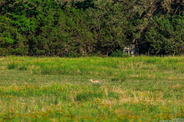 a view of an ocean from a mountain